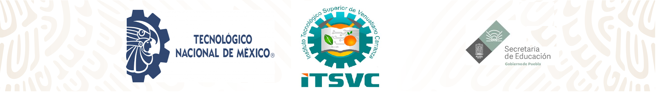 ITSVC